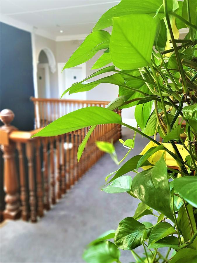 格兰德汽车旅馆 纽卡斯尔 外观 照片